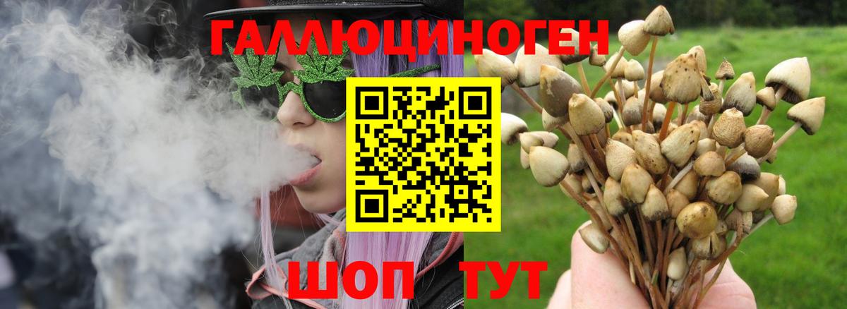 Галлюциногенные грибы Magic Shrooms  Вход с VPN  Похвистнево  Псилоцибиновые грибы мухоморы 