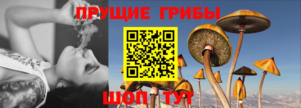 Галлюциногенные грибы MAGIC MUSHROOMS Похвистнево
